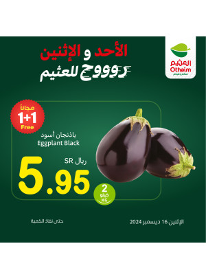 عروض الأحد والأثنين، العدد الثاني