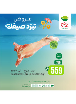 عروض الصيف، العدد الثالث