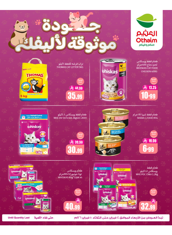 عروض طعام القطط