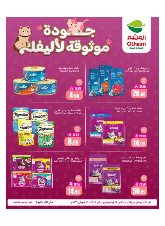عروض طعام القطط