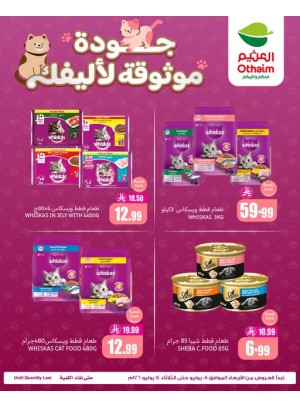 عروض طعام القطط