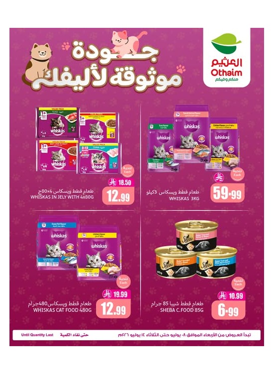 عروض طعام القطط