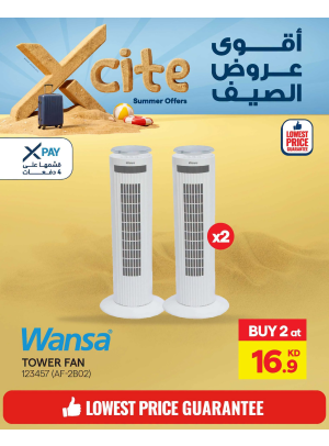Summer Sale On Air Cooler