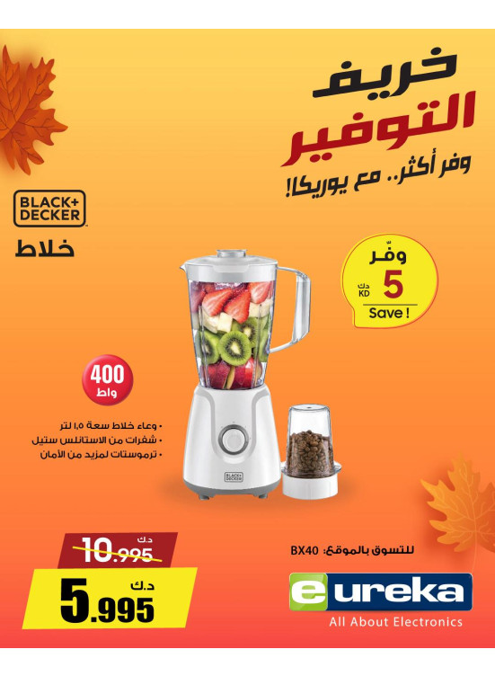 خريف التوفيرعلى أجهزة المنزل الصغيرة