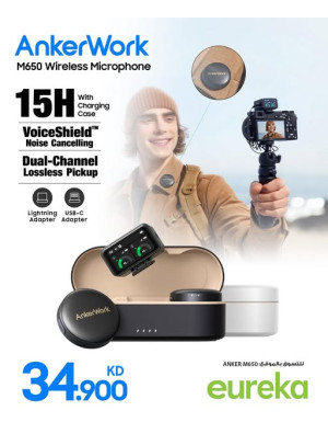 New arrival - Wireless Microphone