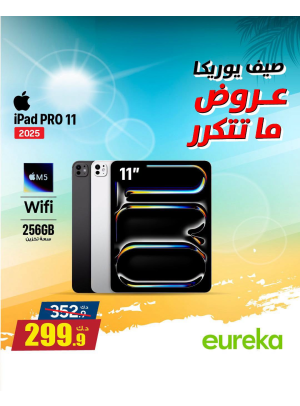 Summer Sale On iPads
