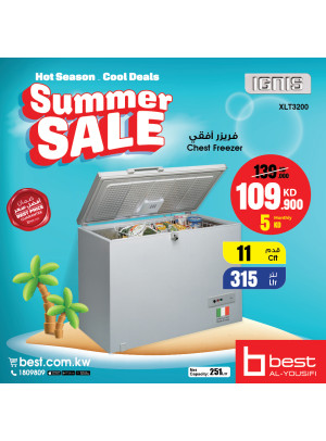 تنزيلات الصيف على الفريزر، العدد الثاني