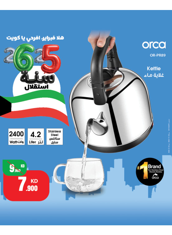 احتفل بشهر فبراير مع عروض مذهلة على الأجهزة المنزلية الصغيرة، العدد الثاني