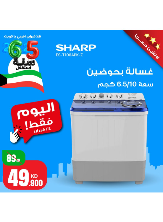 One Day Deal – Sharp Twin Tub Washer