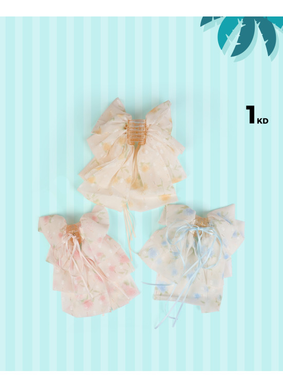 Hair Accessories Offers