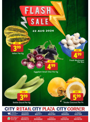 Flash Sale