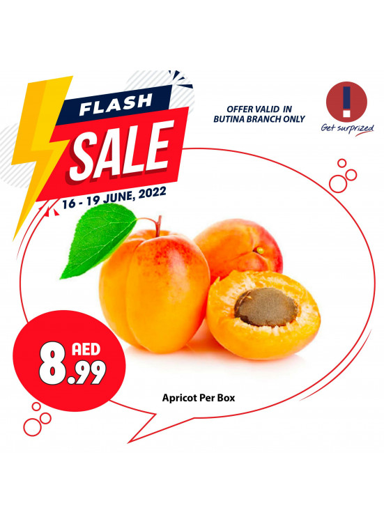 Flash Sale - Al Butina, Sharjah