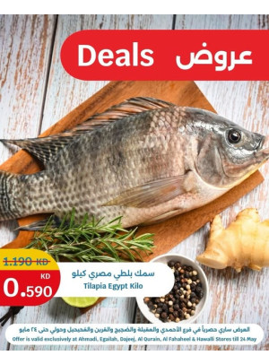 عروض على كيلو سمك البلطي المصري