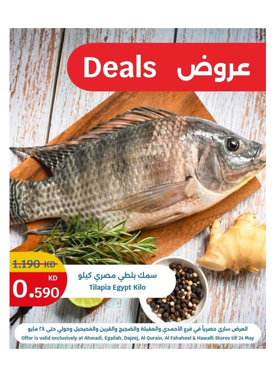 عروض على كيلو سمك البلطي المصري