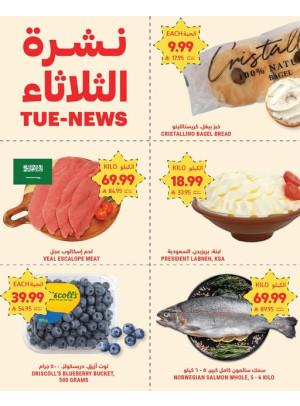 نشرة الثلاثاء
