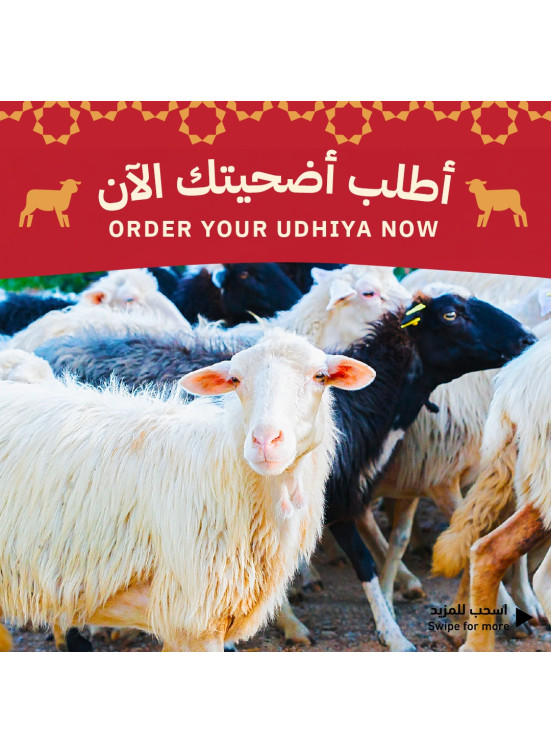 عروض عيد الأضحى المبارك