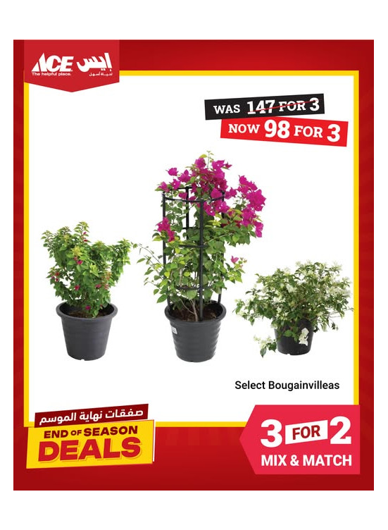Garden Deals
