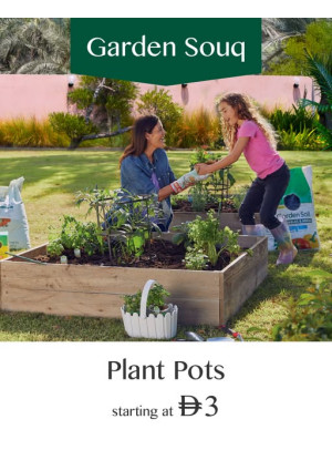 Plant Pots Starting At Just AED 3