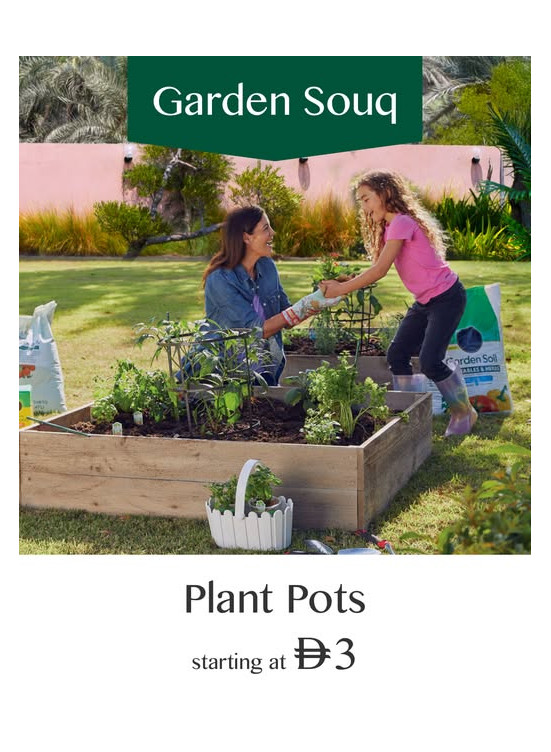 Plant Pots Starting At Just AED 3