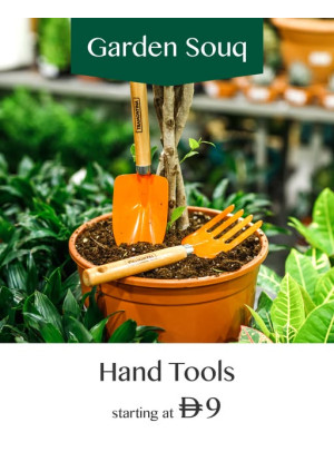 Hand Tools Sale