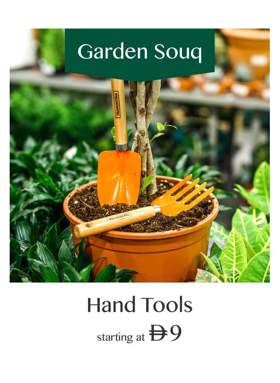 Hand Tools Sale