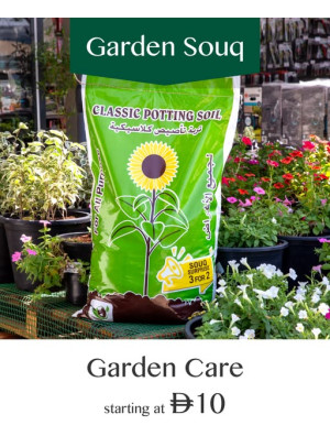 Turn Your Garden Into A Paradise