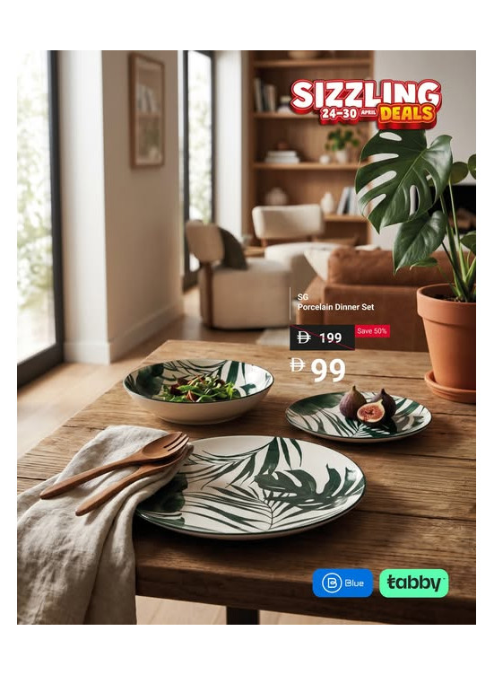 Elegant Porcelain Dinner Set