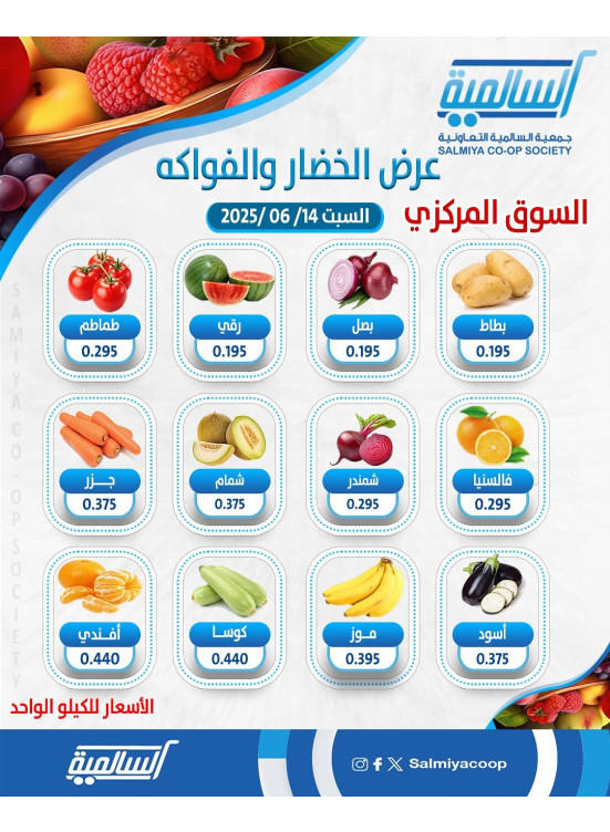 عرض اليوم الواحد