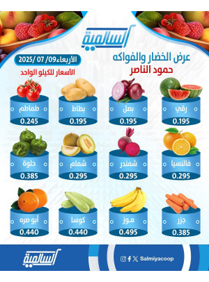 عرض اليوم الواحد