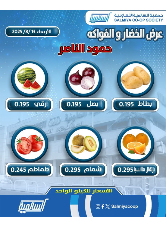 عرض اليوم الواحد - قطعة 11