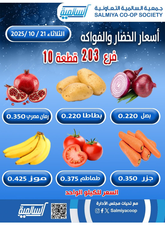 عرض اليوم الواحد - قطعة 10