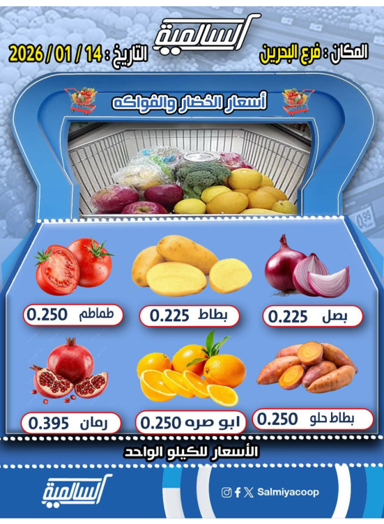 عرض اليوم الواحد - البحرين