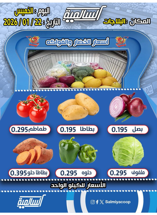 عرض اليوم الواحد - البلاجات