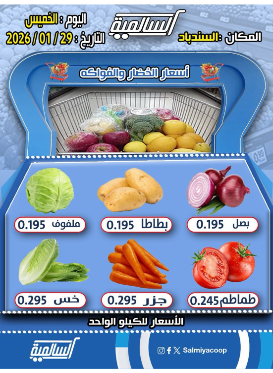 عرض اليوم الواحد