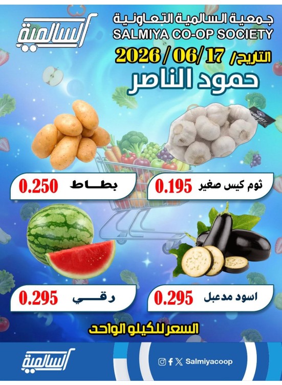 One Day Offer - Hammoud Al Nasser