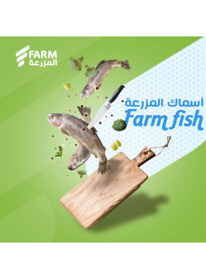 عروض الأسماك