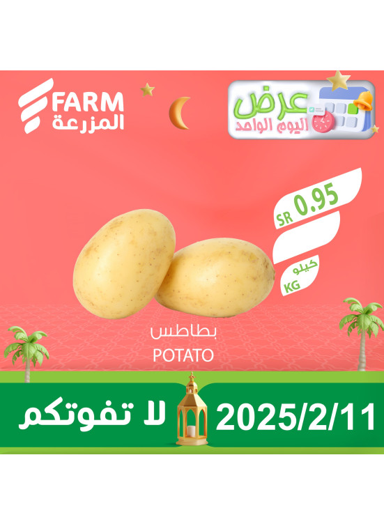 عرض اليوم الواحد