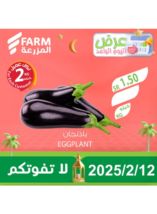 عرض اليوم الواحد