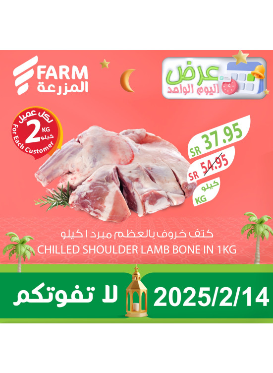 عرض اليوم الواحد