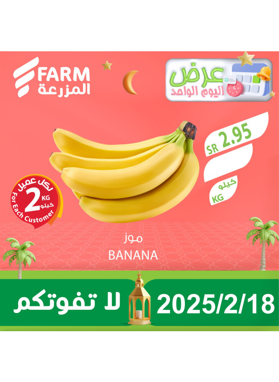 عرض اليوم الواحد
