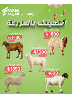 Eid Odhia Offers