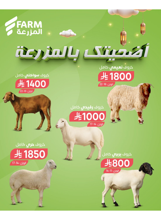 Eid Odhia Offers