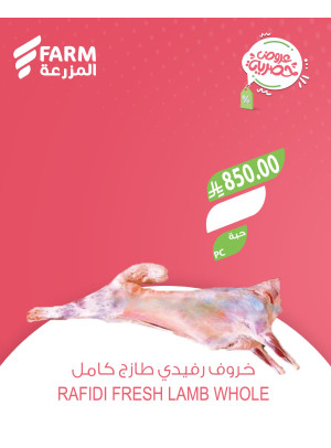 عروض حصرية، العدد الثاني - حي الحجاز، الجبيل