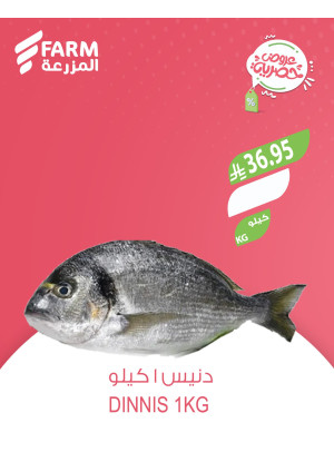 عروض حصرية، العدد الثاني - فالي مول، عرعر