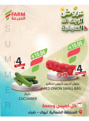 Summer Weekend Deals - Northern Region, Tabuk & Duba