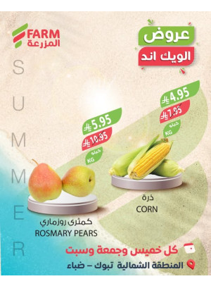 Summer Weekend Deals - Northern Region, Tabuk & Duba