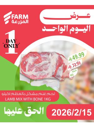 One Day Offer