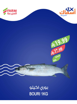 Fish Offers