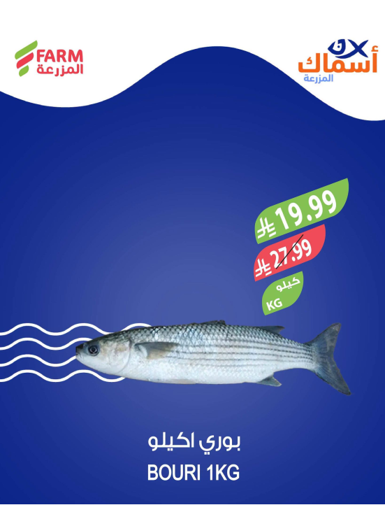 Fish Offers