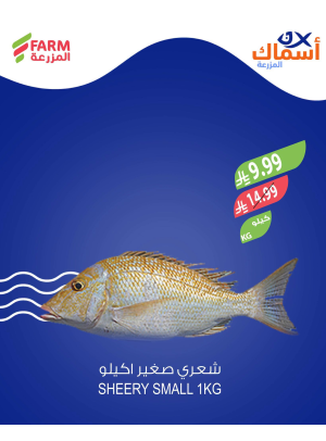 Fish Offers
